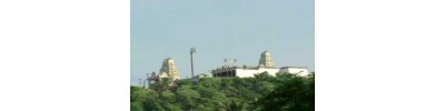 61. திருநீர்மலை 
